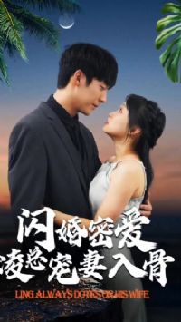 �����۰����ܳ�����������Ϲ�����һ��С�İ�����