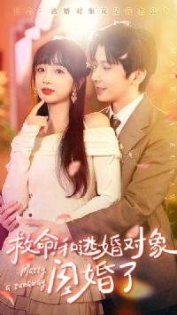 ���������ӻ����������