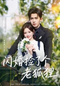 ������˸��Ϻ���