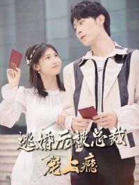 �ӻ���ܲó����