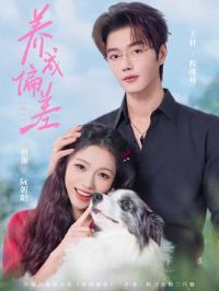 ����ƫ��